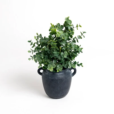Spiral Eucalyptus Arrangement in Black Pot