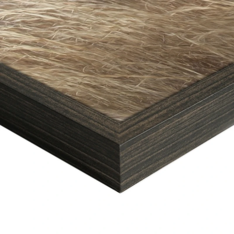 Sunflower Truck Framed Canvas Art Print