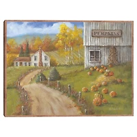 Pumpkin Farm Framed Canvas Art Print