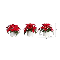 Poinsettia Arrangements in Ceramic Pots, Set of 3