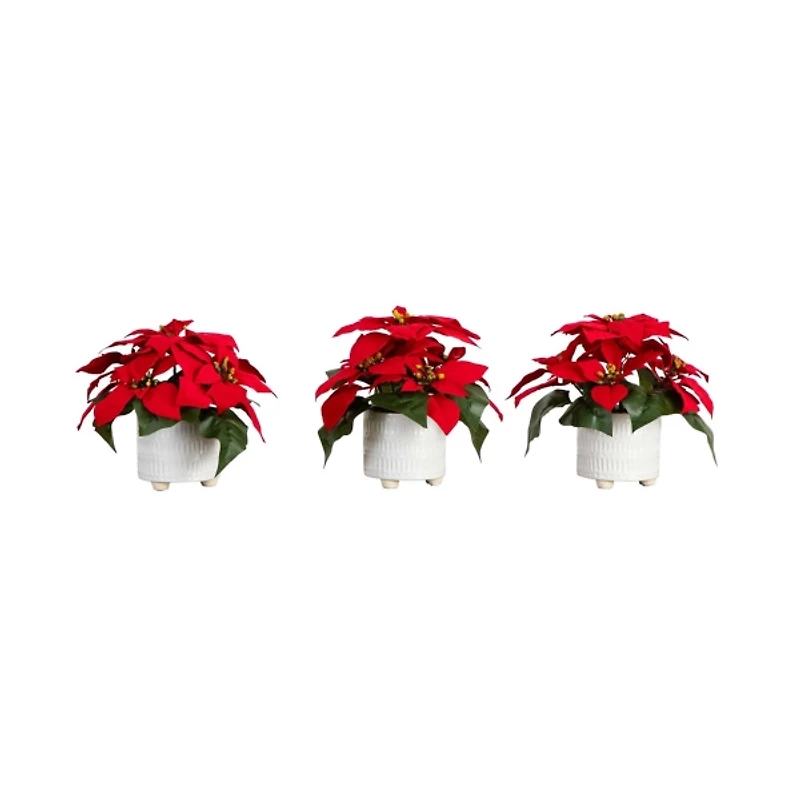 Poinsettia Arrangements in Ceramic Pots, Set of 3
