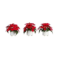 Poinsettia Arrangements in Ceramic Pots, Set of 3