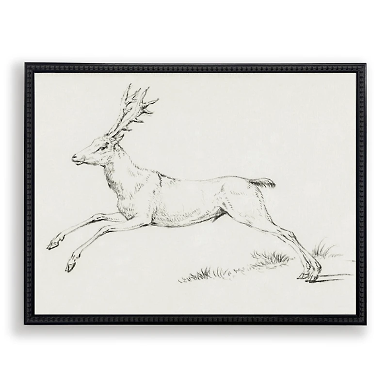 Reindeer Sketch Framed Art Print
