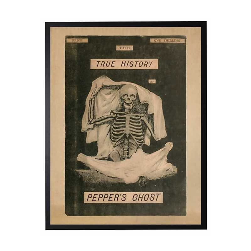 Pepper's Ghost Framed Halloween Wall Plaque