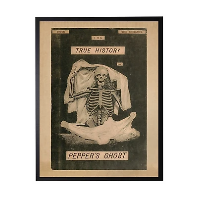 Pepper's Ghost Framed Halloween Wall Plaque