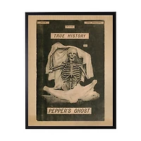 Pepper's Ghost Framed Halloween Wall Plaque