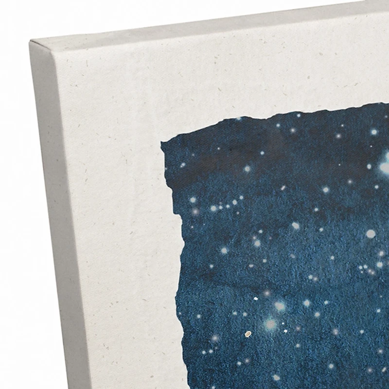 Stargazing Ghost Canvas Art Print