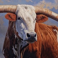 Country Hill Monarch Framed Canvas Art Print