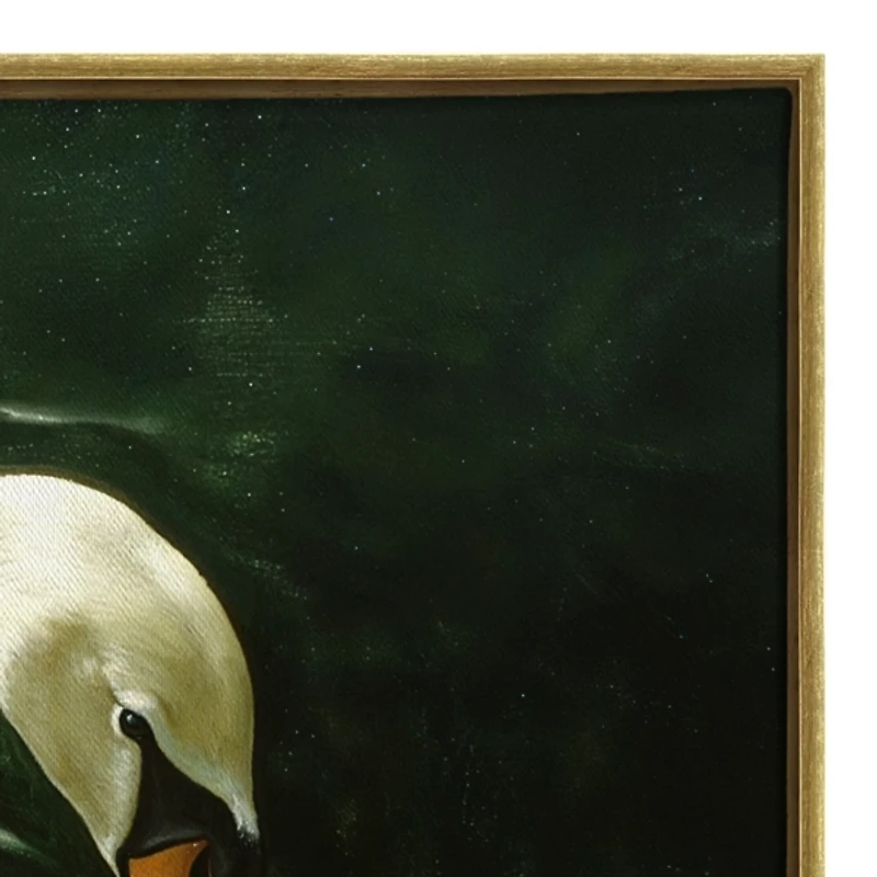 Royal Swan Framed Canvas Art Print