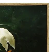 Royal Swan Framed Canvas Art Print