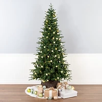 6 ft. Pre-Lit Globe Light Duxbury Christmas Tree
