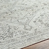 Traditional Washable Area Rug