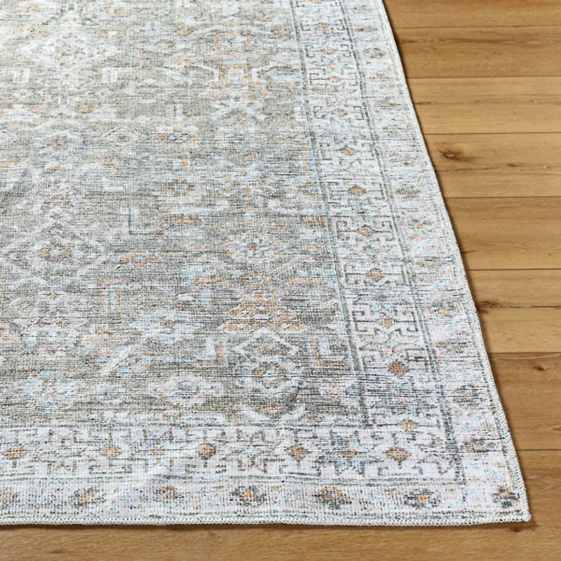 Darling Traditional Washable Area Rug
