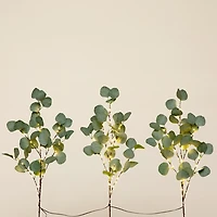 Pre-Lit Eucalyptus 3-pc. Bouquet
