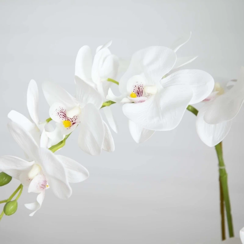 Real Touch Faux Orchid Arrangement