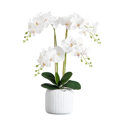 Real Touch Faux Orchid Arrangement
