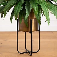Fern in Gold Metal Planter