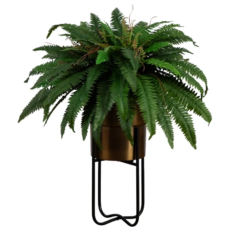 Fern in Gold Metal Planter