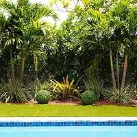 Round Outdoor Boxwood Topiaries, Set of 2