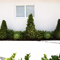 Round Outdoor Boxwood Topiaries, Set of 2