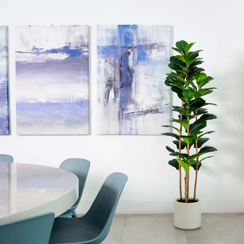 Fiddle Tree In White Planter