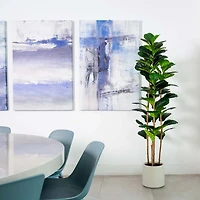 Fiddle Tree In White Planter