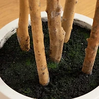 Fiddle Tree In White Planter, 7 ft.