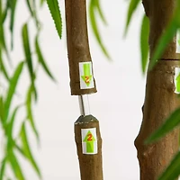 Real Touch Willow Tree in Black Planter