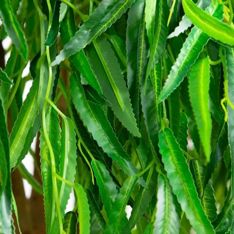 Real Touch Willow Tree in Black Planter, 5 ft.