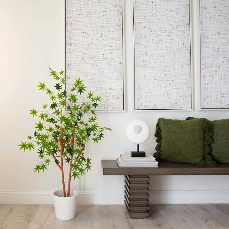 Green Maple Tree in Black Planter