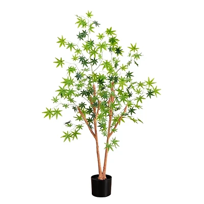 Green Maple Tree in Black Planter