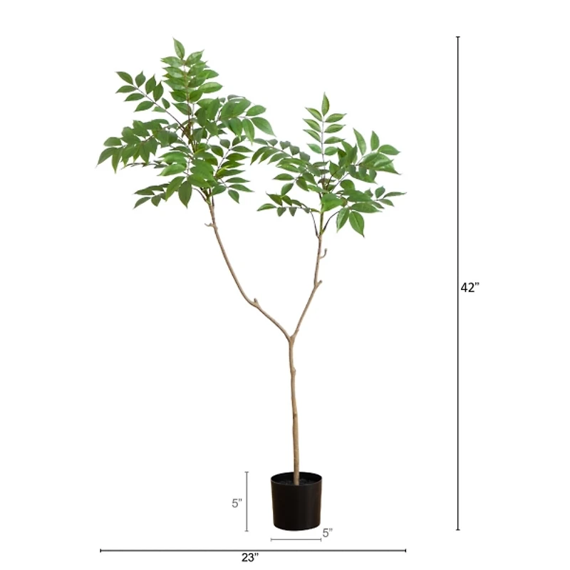 3.5 ft. Sumac Tree in Nursery Planter