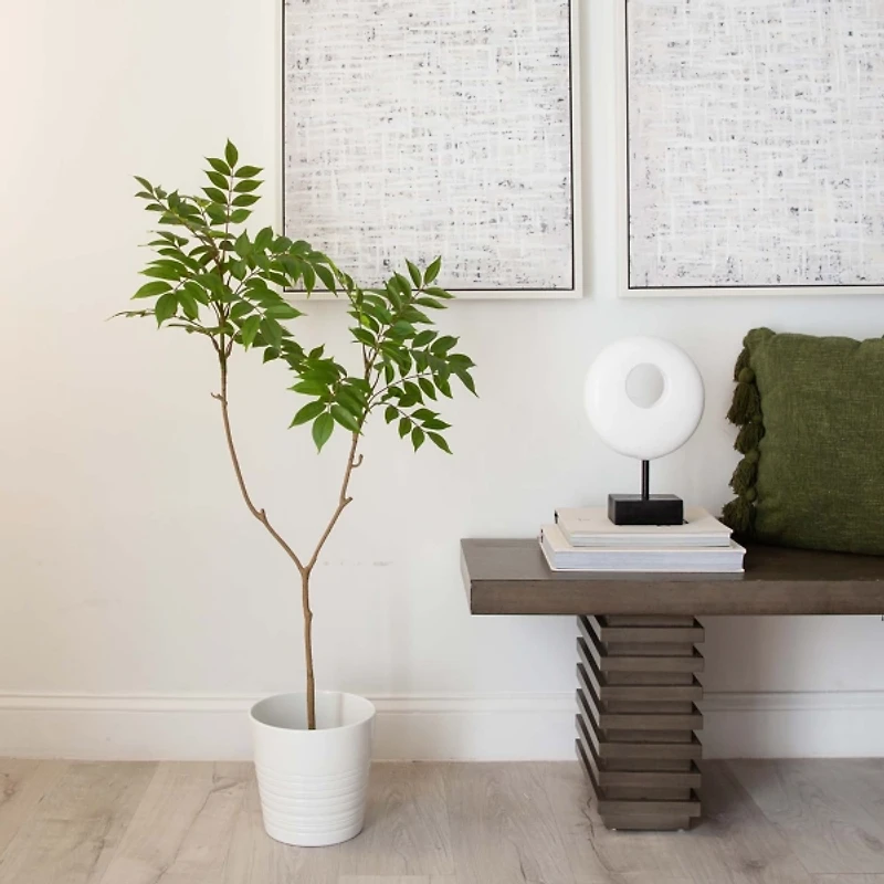 3.5 ft. Sumac Tree in Nursery Planter