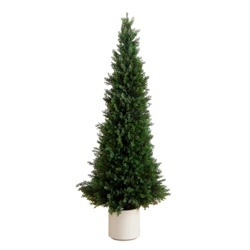 Cedar Tree in White Pot, 5 ft.