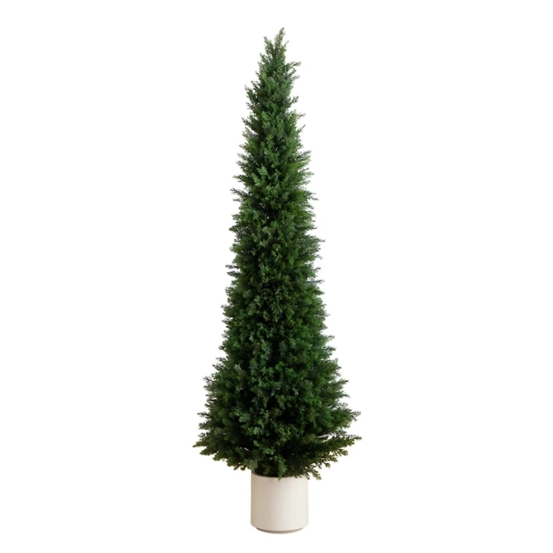 Cedar Tree in White Pot, 6 ft.