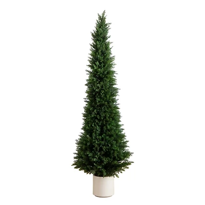 Cedar Tree in White Pot, 6 ft.
