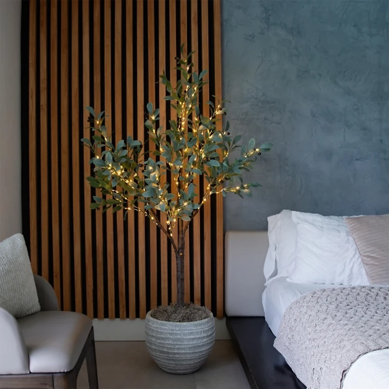 Pre-Lit Warm LED Olive Tree, 5 ft.