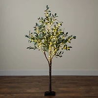 Pre-Lit Warm LED Olive Tree, 5 ft.