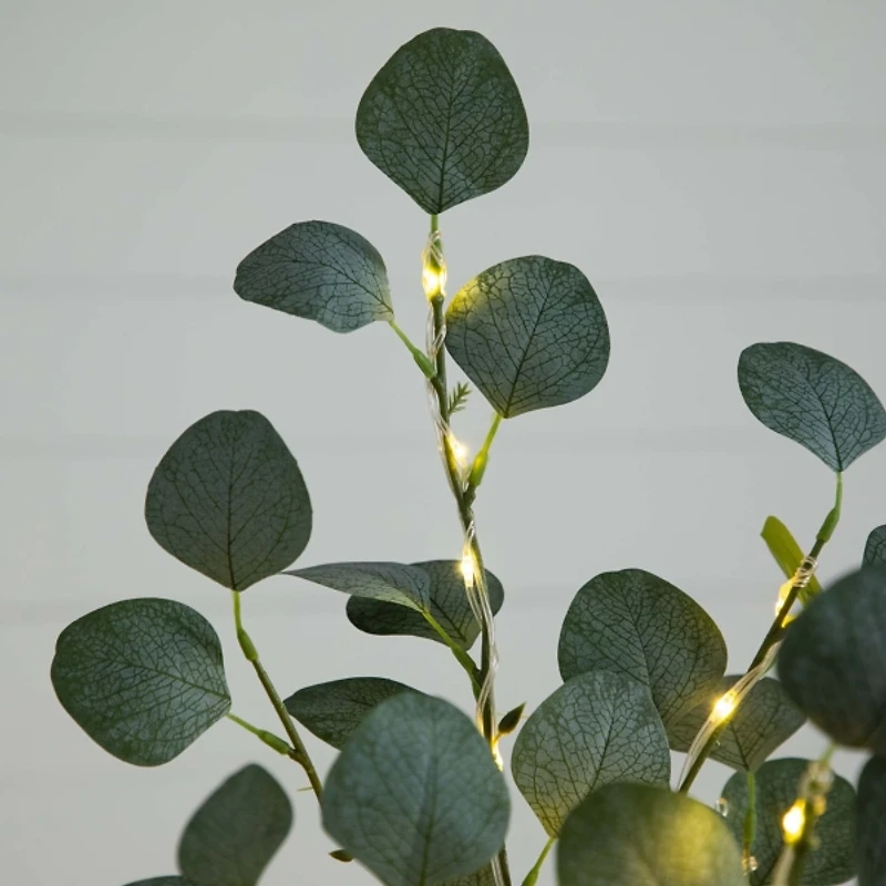 Pre-Lit Warm LED Eucalyptus Plant