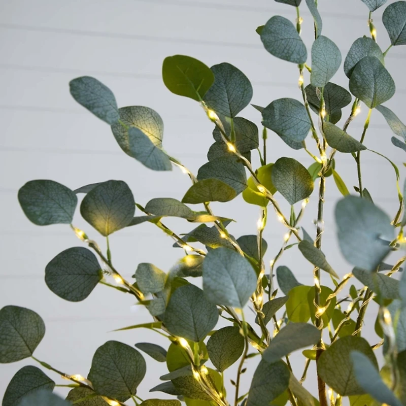 Pre-Lit Warm LED Eucalyptus Plant, 6 ft.