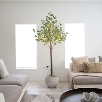 Pre-Lit Warm LED Eucalyptus Plant, 6 ft.