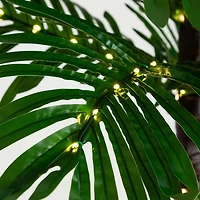 Pre-Lit Warm LED Palm Tree, 6 ft.