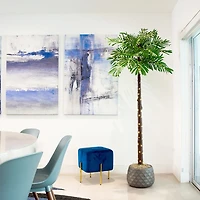 Pre-Lit Warm LED Palm Tree, 6 ft.