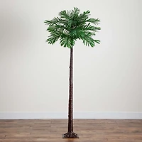 Pre-Lit Warm LED Palm Tree, 6 ft.