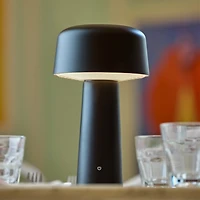 Metal Dome Frosted Light Cordless Table Lamp