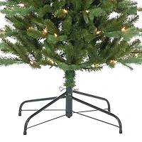 6.5 ft. Pre-Lit Narrow Dover Pine Christmas Tree
