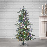 5 ft. Pre-Lit Portland Pine Christmas Tree