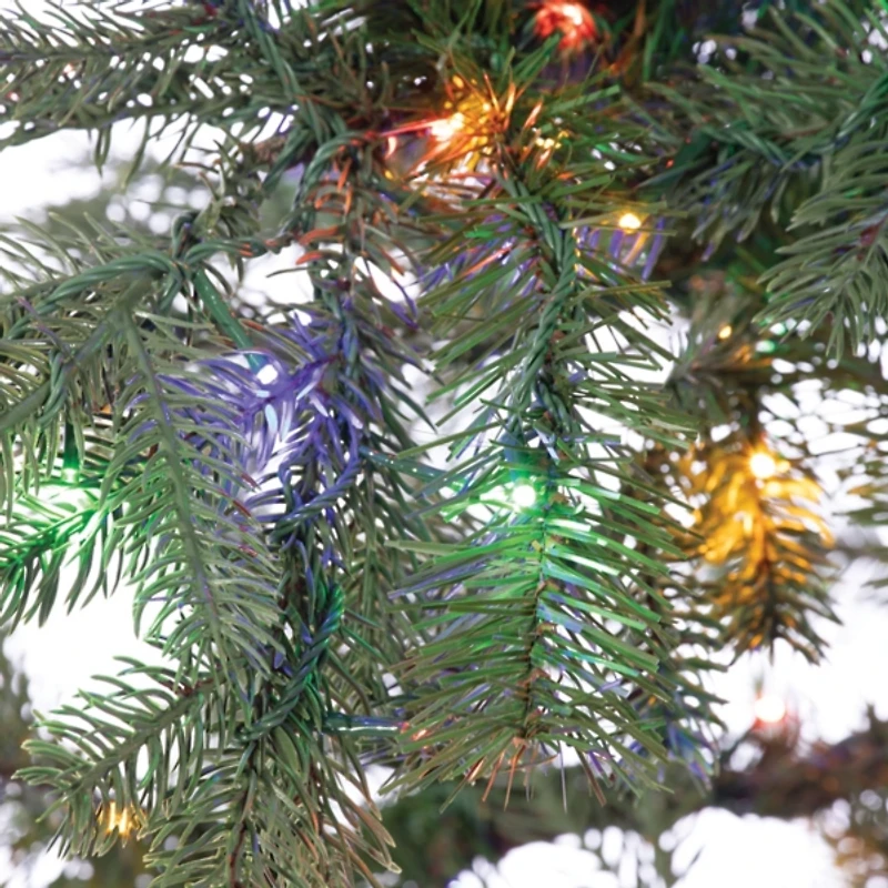 5 ft. Pre-Lit Portland Pine Christmas Tree