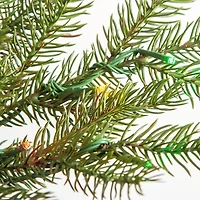 5 ft. Pre-Lit Portland Pine Christmas Tree