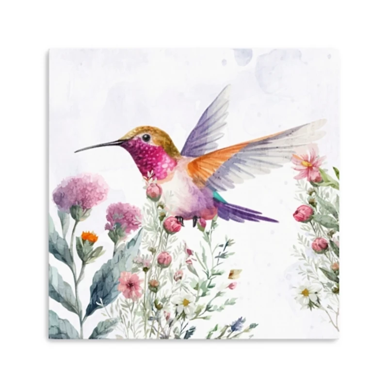 Hummingbird Wildflower II Canvas Art Print